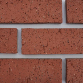 RAEBURN BOTHWELL CASTLE WIRECUT FACING BRICKS 65mm | RED