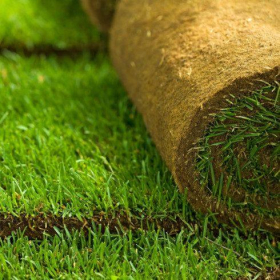 HALLSTONE PRO-FRESH TURF | W610 x  L1640 x  H12.5mm | 1m2 ROLL
