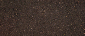 WESTLAND MULTI-PURPOSE PEAT-FREE COMPOST WITH ADDED JOHN INNES | 50 LITRE BAG